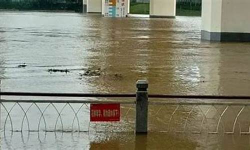 平乐天气预报暴雨_平乐天气预报暴雨情况