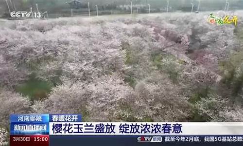 鄢陵电视台电视预报_鄢陵电视台电视预报直播