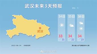 武汉天气预报未来30天查询_武汉天气预报未来30天查询结果