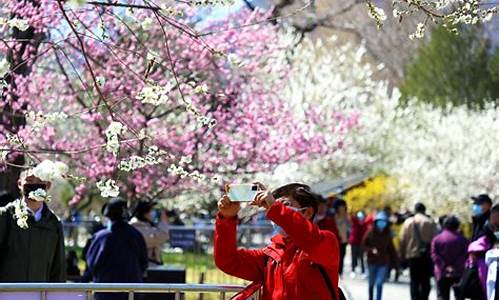 2013清明节北京天气_2013清明节北京天气情况