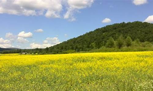 阿荣旗天气预报一周_阿荣旗天气预报一周15天查询