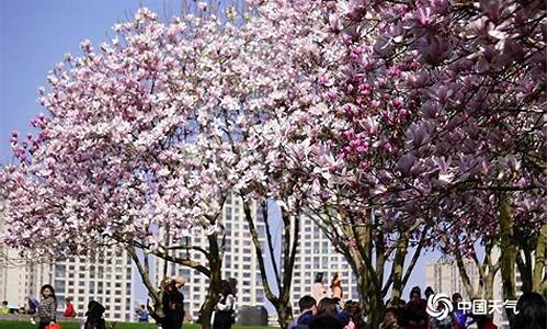 重庆3月天气_重庆3月天气历史记录