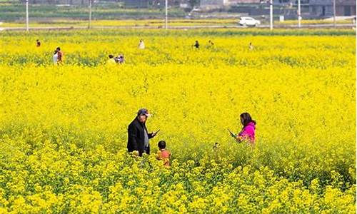 重庆3月天气_重庆3月天气预报